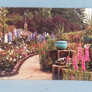 Vintage Postcard - The Butchart Gardens the Rose Garden - Traveltime